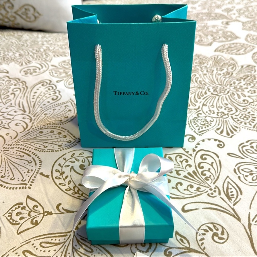 Brand New Tiffany and Co. Small Bag, Box, Pouch, and Ribbon Set🫶